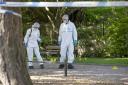 BNPS.co.uk (01202) 558833. .Pic: CorinMesser/BNPS..Pictured: Crime scene investigators at work in the main police cordon in Bournemouth Lower Gardens this morning. ..A teenager is fighting for his life today after being stabbed in an unprovoked attack in