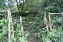 A RAMBLER fears west Dorset has lost access to a key part of its history after the council decided to extinguish a footpath. Pictured: the northern entrance to the bridleway