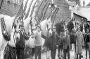 Old picture of Southampton Corporation horses.