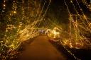 The light up trail returns to Sir Harold Hillier Gardens this winter