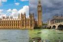 What will the River Thames look like if sewage dumping continues?