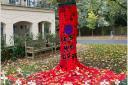 The tree adorned with poppies