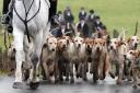 It has been cliamed that Dorset is teh worst offending county for fox hunting in England and Wales