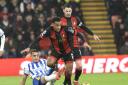 Build up as Cherries host Seagulls on wet and windy afternoon