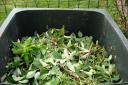 Garden waste