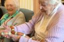 Zetland Court Care Home in Bournemouth enjoyed a friendly visit from a number of exotic animals including a milk snake and albino ferret.