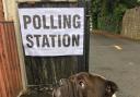 Send us your #dogsatpollingstations photos