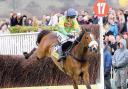 Kauto Star