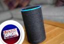 Did you know that you can play games on your Amazon Alexa?