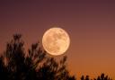 Tonight is the full Harvest Moon