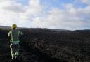 Aftermath of Studland heath fire