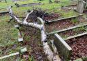 Fallen tree branches on graves at Branksome Cemetery in Poole