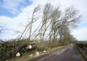 Dorset is one of many regions around the UK that has a Met Office amber weather warning in place for Friday (PA)