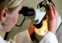 A HPV vaccine could mean only one smear test is needed for women in their lifetime to prevent cervical cancer (PA)