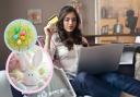 (Background) A woman shopping online. (Circles) Easter eggs and an Easter Bunny (Canva)