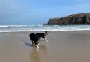 Pictured: Dalmore Beach, Isle of Lewis