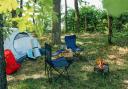 Rankings of the campsites near Bournemouth have been collated from Pitchup.com (Canva)