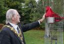 Poole mayor Cllr Tony Trent unveiling the tree plaque