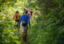 From the South Purbeck cliffs to Lyme Regis or Old Harry Rocks there are plenty of circular walks to try out around Dorset