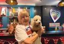 Doggy King Fling event at Revolution Bournemouth organised by Dorset Dogs