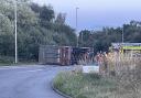 'We heard banging from the cattle': Livestock lorry overturns on roundabout