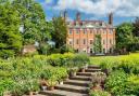 Slugs have eaten snowdrops (flowers) at Channel 4's Great British Bake Off filming location