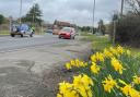 Traffic in Sandford Road, Wareham