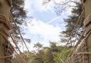 The rope bridge at The Blue Pool