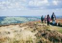 Burley Moors.