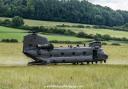 Chinook in Bere Regis