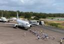 Dorset Plane Pull