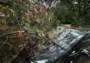 DAMAGED: A large branch fell on top of a Corsa