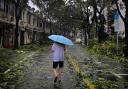 A man carrying an umbrella walks past fallen tree branches on a street in Shanghai, China, in the aftermath of Typhoon Bebinca (Chinatopix Via AP)