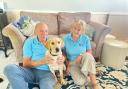 Linda Hudswell and her husband Don live in a cosy bungalow in Broadstone with their 20-week-old lovable and excitable Labrador guide dog puppy, Vesper.