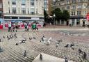 Seagulls in Bournemouth Square.