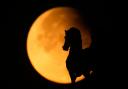 The supermoon rose behind a horse statue at the Triumphal Arc during a partial lunar eclipse in Moscow (AP)