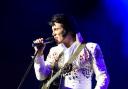 Gordon Hendricks - Elvis (press image)