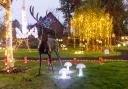 The garden at Woodpeckers in Brockenhurst hosts the home’s festival of lights.     