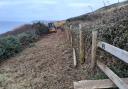 Coastline fencing being replaced to stop cows ‘escaping into the sea'