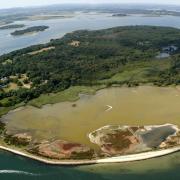 Brownsea Island