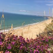 Ten reasons we love Hengistbury Head