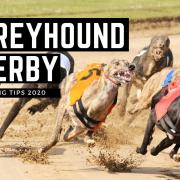 Greyhound Derby round 2: Betting tips for Saturday