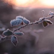 Colder weather could be on the way