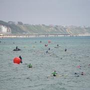 Stock photo of swimmers doing the pier-to-pier swim.