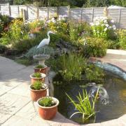 Stunning flowers surround this lovely pond