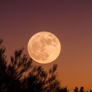 Tonight is the full Harvest Moon