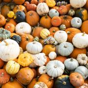 There are a number of ways for you to make the most out of pumpkins this year once Halloween is over (Jane Barlow/PA)