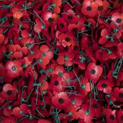 Poppies are a symbol of remembrance. (PA)