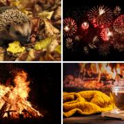 Get some last-minute Bonfire Night inspiration for a party (Canva)