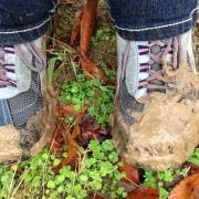 Photo via Canva/Pixabay shows a generic picture of muddy walking boots as someone goes for a walk in nature.